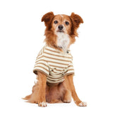 Reddy Stripe Tee for Dogs Tan Large