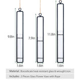 AODERUM Hanging Glass Planter Water Iron Art Hydroponic Vase Transparent Test Tube Flower Hanging Bottle Home Decoration (3pcs-S,M,L)