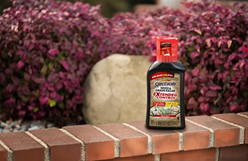 Spectracide Weed and Grass Killer with Extended Control Concentrate, 32 Ounces, with Accumeasure System
