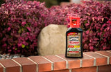 Spectracide Weed and Grass Killer with Extended Control Concentrate, 32 Ounces, with Accumeasure System