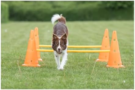 TRIXIE Dog Agility Hurdle Cone Set – Dog Agility Set with Height Adjustable Crossbar for Beginners & Advanced, Dog Agility Equipment for Dog Obstacle Courses – 6 x Cones, 3 x Agility Rods