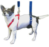 GINGERLEAD Dog Support Sling Harness, X-Small Fits Little Pets Under 25 lbs or Dachshunds with IVDD, Spinal Disc Disease, or Back Injuries. Assist Old or Recovering Pets. Chest Harness NOT Included.
