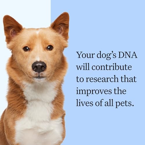 Wisdom Health Panel Breed Discovery Dog DNA Kit: Most Accurate Dog Breed Identification, Test for 365+ Breeds, MDR1 Health Test, Ancestry, Relatives