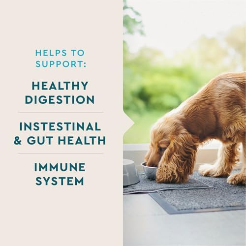 VetIQ Probiotic Supplement for Dogs, Digestive Support for Dogs, Nourishes Gut Bacteria and Supports Bowel Function, Hickory Smoke Flavor, Made in The USA, 180 Count