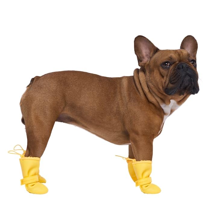 Canada Pooch Waterproof Boots - Dog Boots & Paw Protectors with Anti Slip Rubber | Easy On Waterproof Boots for Dogs with Velcro Strap, Great for Dogs