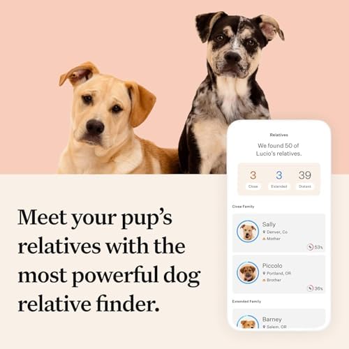 Wisdom Health Panel Premium Dog DNA Kit: Most Comprehensive with 265+ Health Tests, Identify 365+ Dog Breeds, 50+ Traits, Relatives, Ancestry, Genetic Diversity - Pack of 1