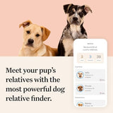 Wisdom Health Panel Premium Dog DNA Kit: Most Comprehensive with 265+ Health Tests, Identify 365+ Dog Breeds, 50+ Traits, Relatives, Ancestry, Genetic Diversity - Pack of 1