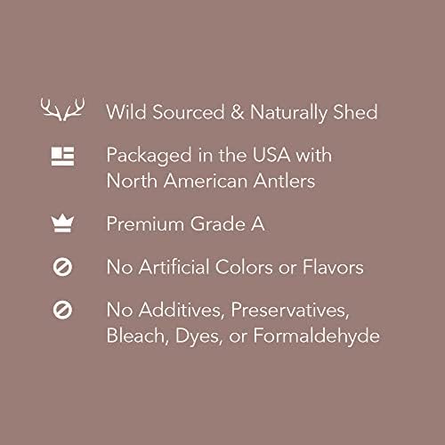 Amazon Brand - Wag Dog Deer Antler Chew, Naturally Shed, Whole, Large 8-9.5 inches (Best for Dogs 30-45 lbs), 3.20 Ounce (Pack of 1)