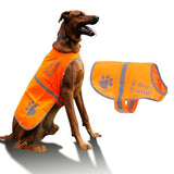 4LegsFriend Reflective Dog Vest. Hi-Visibility, Blaze Orange Oxford 300D Waterproof Dog Vest Helps Protect Your Best Friend. Safeguard Your PUP from Motorists & Hunting Accidents, On or Off Leash