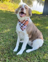Plaid Bandana Personalized, Embroidered, Buffalo Plaid, Custom Pet Neckwear