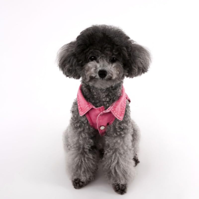 Dog Pink Jean Jacket Medium for Small Dogs Denim Vest Clothes Pet Boy Girl Cute Cat Cotton Coat Outfits Spring Costumes (Pink,Medium)