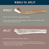Amazon Brand - Wag Dog Deer Antler Chew, Naturally Shed, Whole, Large 8-9.5 inches (Best for Dogs 30-45 lbs), 3.20 Ounce (Pack of 1)