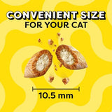 Temptations MixUps Catnip Fever Flavor Crunchy and Soft Cat Treats, 48 oz. Bag