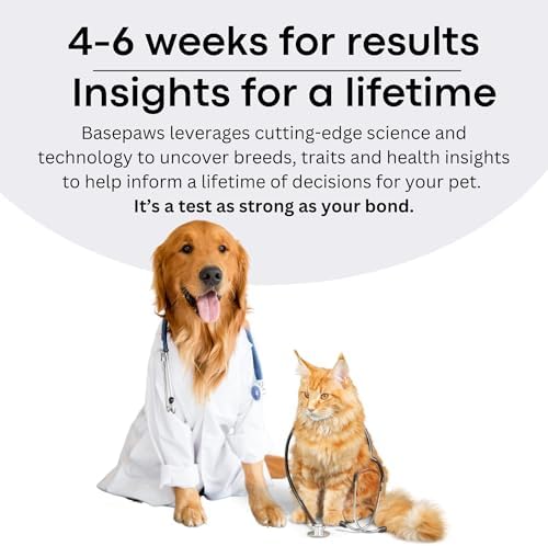 Basepaws Dog DNA Testing Kit - 300+ Breeds, 280+ Health Risks, and 30+ Traits - Comprehensive Mixed Breed Identification, Pet DNA Test kit, Canine Genetic Ancestry and Heritage