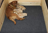 Drymate Whelping Box Liner Mat, Washable and Reusable Dog Puppy Pee Pad, Absorbent, Waterproof, Durable, Can Be Cut to Fit (USA Made) (48" x 100")