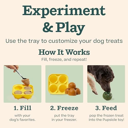 WOOF Starter Pack - Interactive Dog Toys for Boredom - Dog Treat Molds Silicone - Chicken-Flavored Healthy Treats for Dogs - Pupsicle Doggy Enrichment Toy - for Large Pups - 25-75 lbs