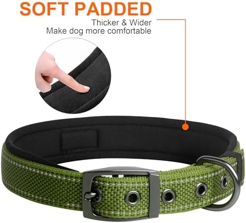 Fida Heavy Duty Dog Collar, Ultra Comfortable Soft Neoprene Padded, Adjustable Reflective Nylon Pet Collar with Durable Metal Belt Buckle for Small Breeds (S, Green)