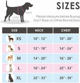 PHOEPET 2019 Upgraded No Pull Dog Harness, Reflective Adjustable Vest, with a Training Handle + 2 Metal Leash Hooks+ 3 Snap Buckles +4 Slide Buckles(M, Black)
