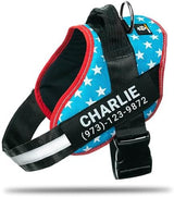 Personalized No-Pull Dog Harness with Name Patch, Padded, Adjustable and Reflective Service Dog Vest, Easy On Dog Harnesses for Medium Large Small Sized Dog Light Blue, M