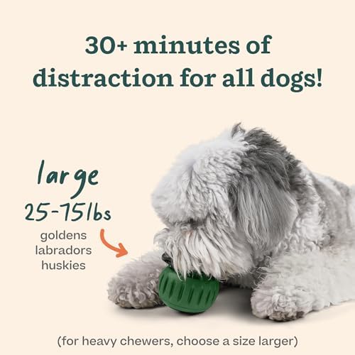WOOF Starter Pack - Interactive Dog Toys for Boredom - Dog Treat Molds Silicone - Chicken-Flavored Healthy Treats for Dogs - Pupsicle Doggy Enrichment Toy - for Large Pups - 25-75 lbs