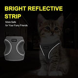 Fida Comfy Dog Harness with Leash, Soft Puppy Vest Escape Proof, Breathable Lightweight Soft Mesh, Adjustable Reflective Step-in Harness for Cat & Extra-Small Pet (XS, Grey)