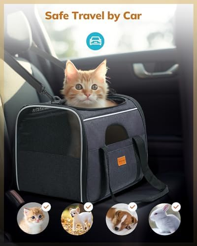 Morpilot Cat Carrier Soft - Portable Pet Carrier for Small or Medium Cats, Dogs and Puppy up to 14lbs, Airline Approved Dog Carrier with Safety Buckle and Foldable Bowl - 17 x 11 x 12 Inch (Dark Gray)