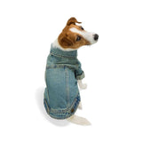 Reddy Icon Denim Dog Jacket Small