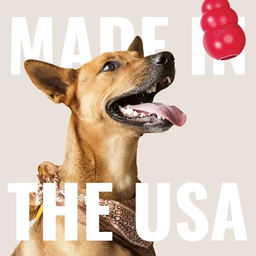 KONG Stuff-A-Ball - Durable, Natural Rubber Chew Toy for Dogs - Dental Health Pet Toy for Chewing & Teeth Cleaning - Stuffable for Treats & Snacks - for Large Dogs