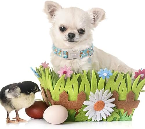 Unique style paws Easter Dog Collar Plastic Buckle Puppy Collar with Pendant Blue Sports Rabbit Ball Egg Puppy Collars for Small Medium Large Boys Girls Dogs