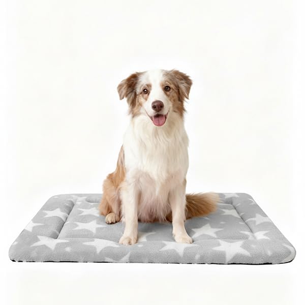 Fogkiss Dog Bed Mat, Reversible Dog Crate Pad with Washable Kennel Mat and Soft Foam, Pet Bed for Dogs & Cats, for Crates Carriers & Travel(Big&Small Stars Grey, 35" L*23" W*1.5" Th)