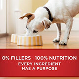Purina ONE Tender Cuts in Wet Dog Food Gravy Chicken and Brown Rice Entree - (Pack of 12) 13 oz. Cans