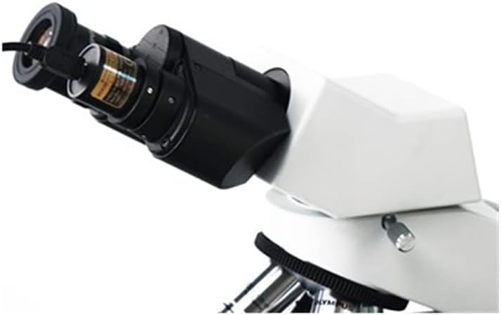 Lab Microscope Accessories 2M 3M 5M 8M 12M USB2.0 Digital Eyepiece Camera for Biological Stereo Microscope(SCMOS02100KPA 2.1M)