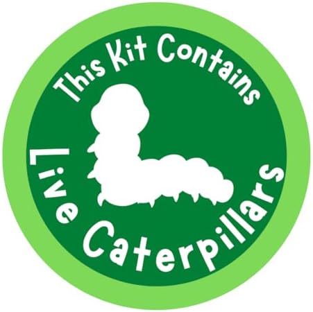 Insect Lore Butterfly Garden | Original 12" Habitat and Two Cups of Live Baby Caterpillars | Life Science & STEM Education Kit