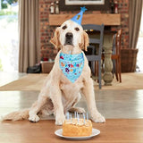 Dog Birthday Party Supplies, Dog Birthday Bandana Set, Dog Boy Girl Birthday Party Hat with Numbers for Large Medium Small Dogs Pet (Blue)