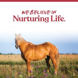 Manna Pro Weight Accelerator for Senior Horses | Made with Omega 3 Fatty Acids from Flaxseed | 8 Pounds
