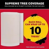 Catchmaster Tree Shield Lantern Fly & Ant Traps Insect Barrier, 12 Rolls 30ft Each, Outdoor Adhesive Crawling Insect Trap, Glue Traps to Protect Trees, Fruit & Plants, Pest Control Lawn & Garden