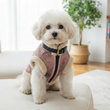 LUVMOJO Aviator Dog Jacket, Retro Faux Leather Winter Coats with Sherpa Lining for Puppy, Warm Bomber Uniform for Small and Medium Dogs & Cats, Girl Doggy Motorcycle Costumes Female, Pink, S