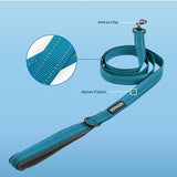 Voyager Reflective Dog Leash Collar Set with Neoprene Handle Supports Small, Medium, and Large Breed Puppies, Cute and Heavy Duty for Walking, Running, and Training - Turquoise, S