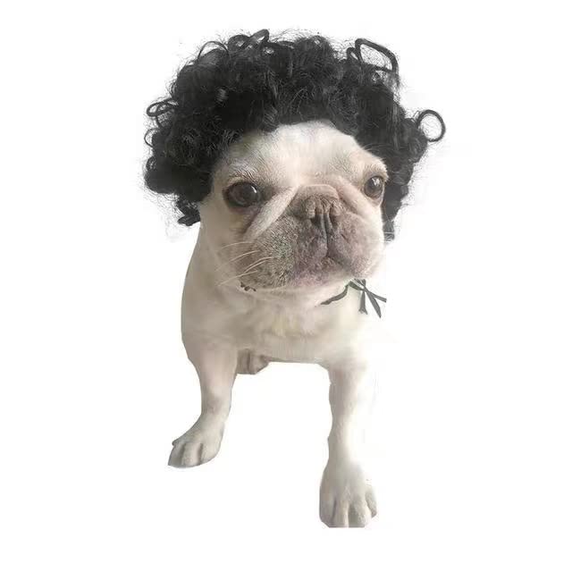 Spa Day Dog Costume Cosplay Wig, Curly Hair Pet Cat Wigs for Halloween Parties Dog Hats Wigs for Small Medium and Large Dogs Adjustable(Pet Head Circumference 6-27 inches)