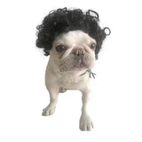 Spa Day Dog Costume Cosplay Wig, Curly Hair Pet Cat Wigs for Halloween Parties Dog Hats Wigs for Small Medium and Large Dogs Adjustable(Pet Head Circumference 6-27 inches)