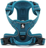 TRUE LOVE Truelove Adjustable No-Pull Dog Harness Reflective Pup Vest Harnesses Comfortable Control Brilliant Colors TLH5651(Blue,S)