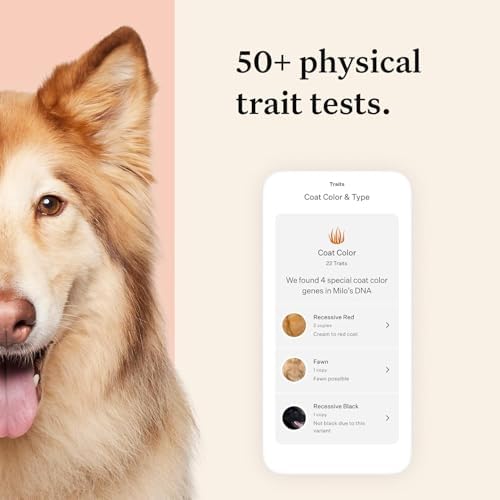 Wisdom Health Panel Premium Dog DNA Kit: Most Comprehensive with 265+ Health Tests, Identify 365+ Dog Breeds, 50+ Traits, Relatives, Ancestry, Genetic Diversity - Pack of 1