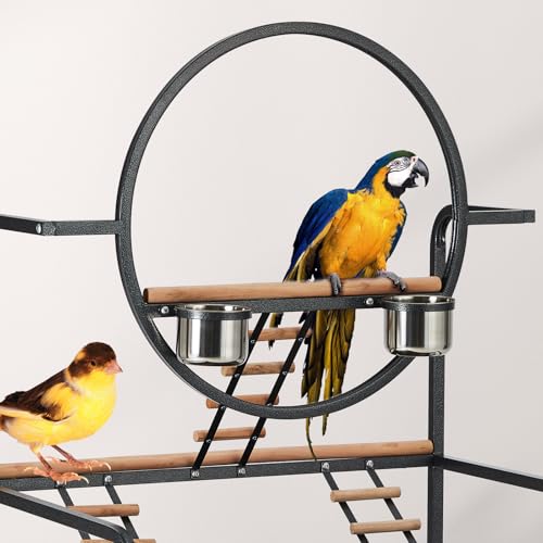 Bird Playstand, 66 in H Inch Birdcage Stand Activity Play Center with Perches and Ladders, Removable Tray, Indoor Outdoor Playground for Parakeet, Cockatiels Conures Parrots, Lockable Caster, Black
