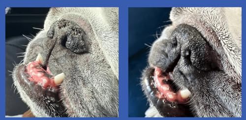Squishface Nose Balm - Soothe & Protect Dry, Cracked Dog Snouts - Plant-Based, Lick-Safe Formulation to Aid in Relief of Hyperkeratosis - Great for All Breeds! (1.75 oz)