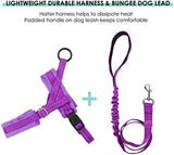 Lukovee Dog Harness and Leash Set, Soft Padded Small Dog Harness, Neck & Chest Adjustable Reflective Vest Puppy Harness with 4ft Lightweight Anti-Twist Dog Leash for Small Dogs (Purple, Medium)