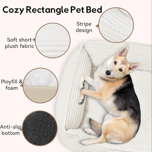 Rectangle Orthopedic Dog Bed for Large Dogs,Dog Sofa Beds Supportive Foam Pet Couch Bed with Removable Washable Mat and Nonskid Bottom (Large, Cream)