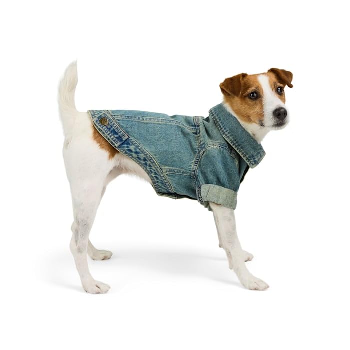 Reddy Icon Denim Dog Jacket Small