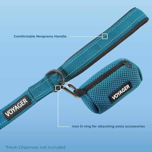 Voyager Reflective Dog Leash Collar Set with Neoprene Handle Supports Small, Medium, and Large Breed Puppies, Cute and Heavy Duty for Walking, Running, and Training - Turquoise, S