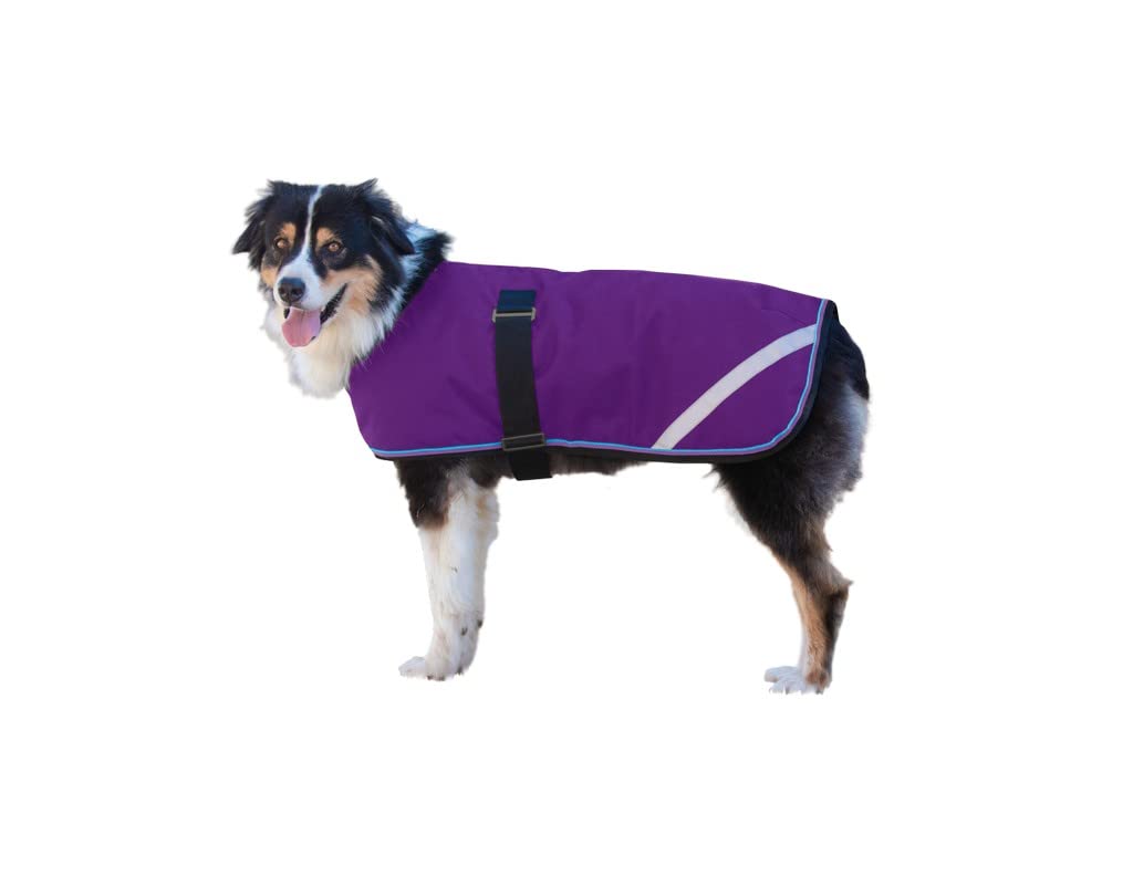 Kensington Dog Cold Weather Coat Waterproof Warmer Jacket for Dog Apparel Snowsuit - Purple, 2XL