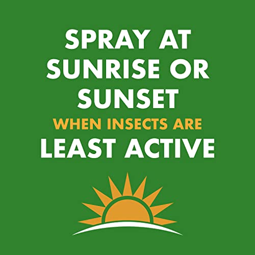 Spectracide Wasp & Hornet 3, 12 Pack, 18.5 Oz Insect Killer
